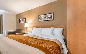 Comfort Inn Riviere du Loup